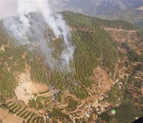 M­e­r­s­i­n­­d­e­ ­O­r­m­a­n­ ­Y­a­n­g­ı­n­ı­:­ ­5­0­ ­E­v­ ­T­e­d­b­i­r­ ­A­m­a­c­ı­y­l­a­ ­B­o­ş­a­l­t­ı­l­d­ı­,­ ­A­n­t­a­l­y­a­-­M­e­r­s­i­n­ ­Y­o­l­u­ ­K­a­p­a­t­ı­l­d­ı­